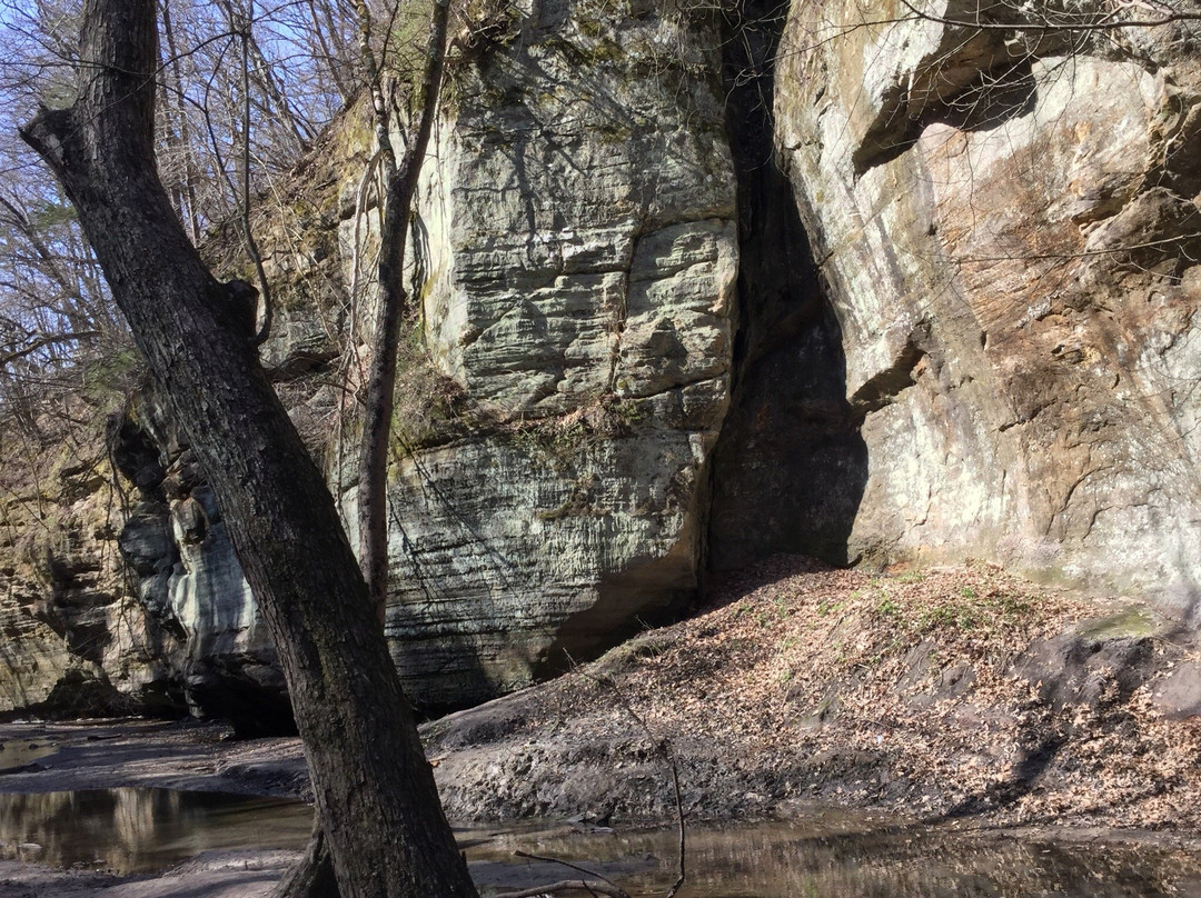 Matthiessen State Park景点图片