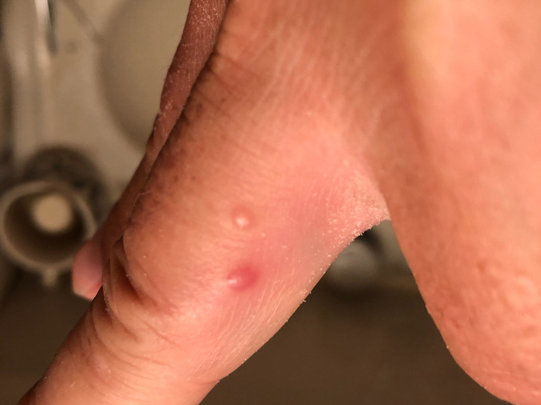 Budget Inn  of Paso Robles主图