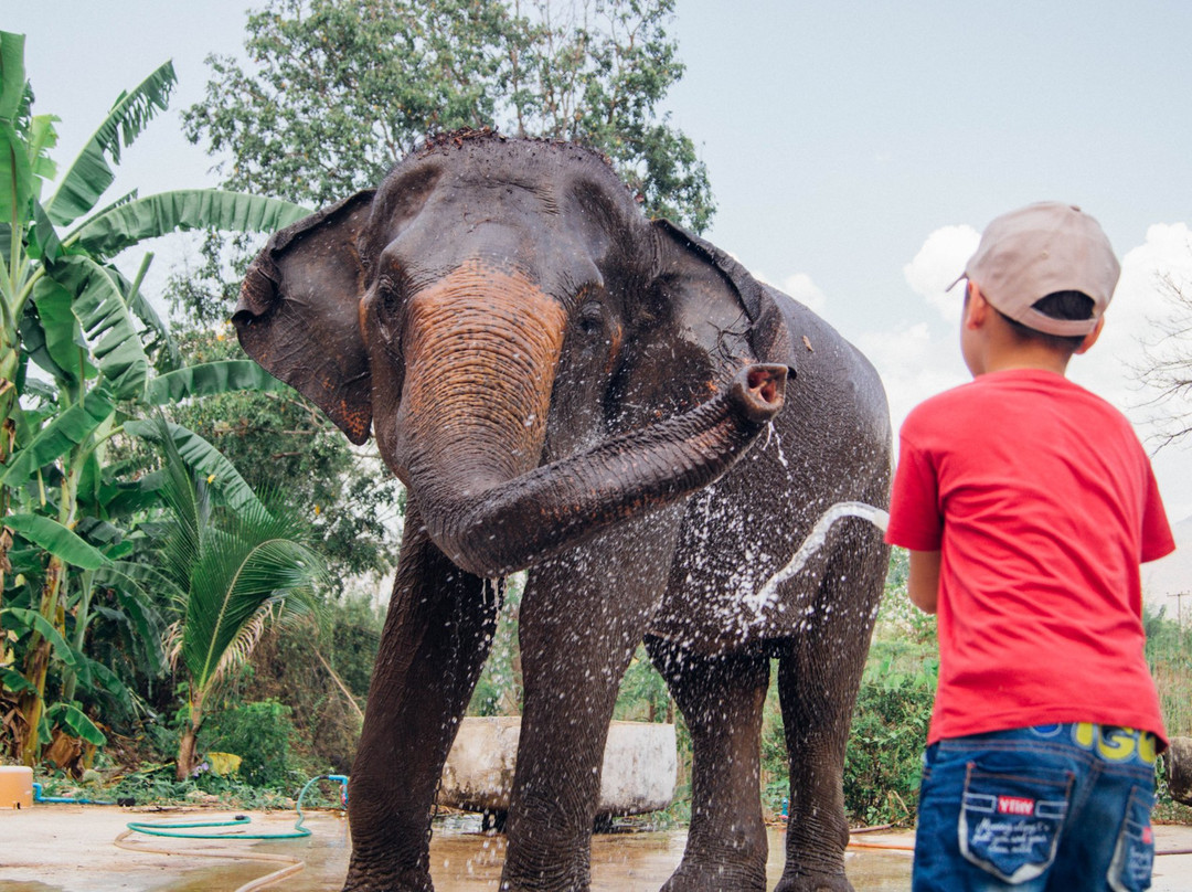 The Banana Orchard Project-北碧必去景点