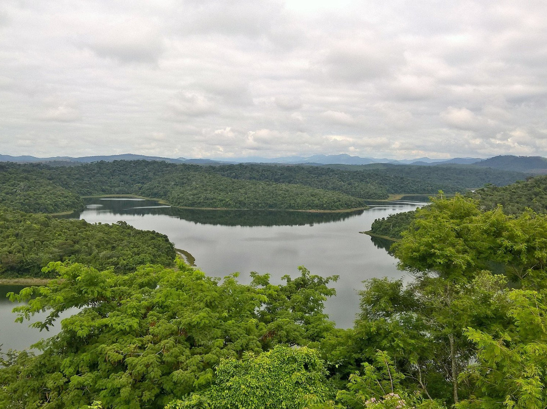 Parque Estadual do Rio Doce景点图片