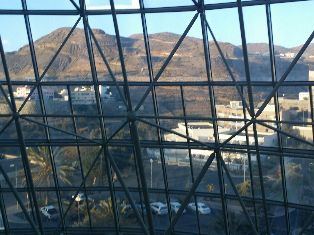 Abha Palace Hotel主图