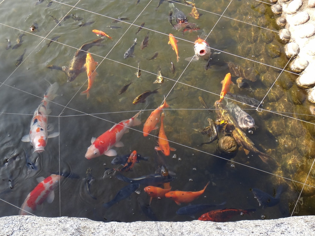 观水庭Kozeniya酒店主图