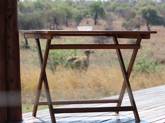 Mangwa Valley Game Lodge主图