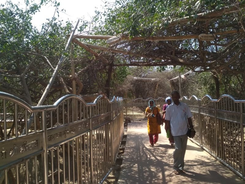 Seva Kunj and Nidhuban景点图片