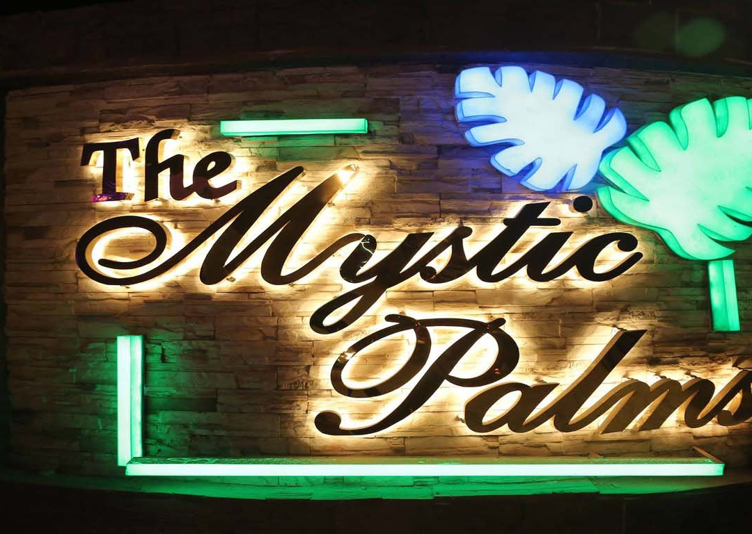 The Mystic Palms主图