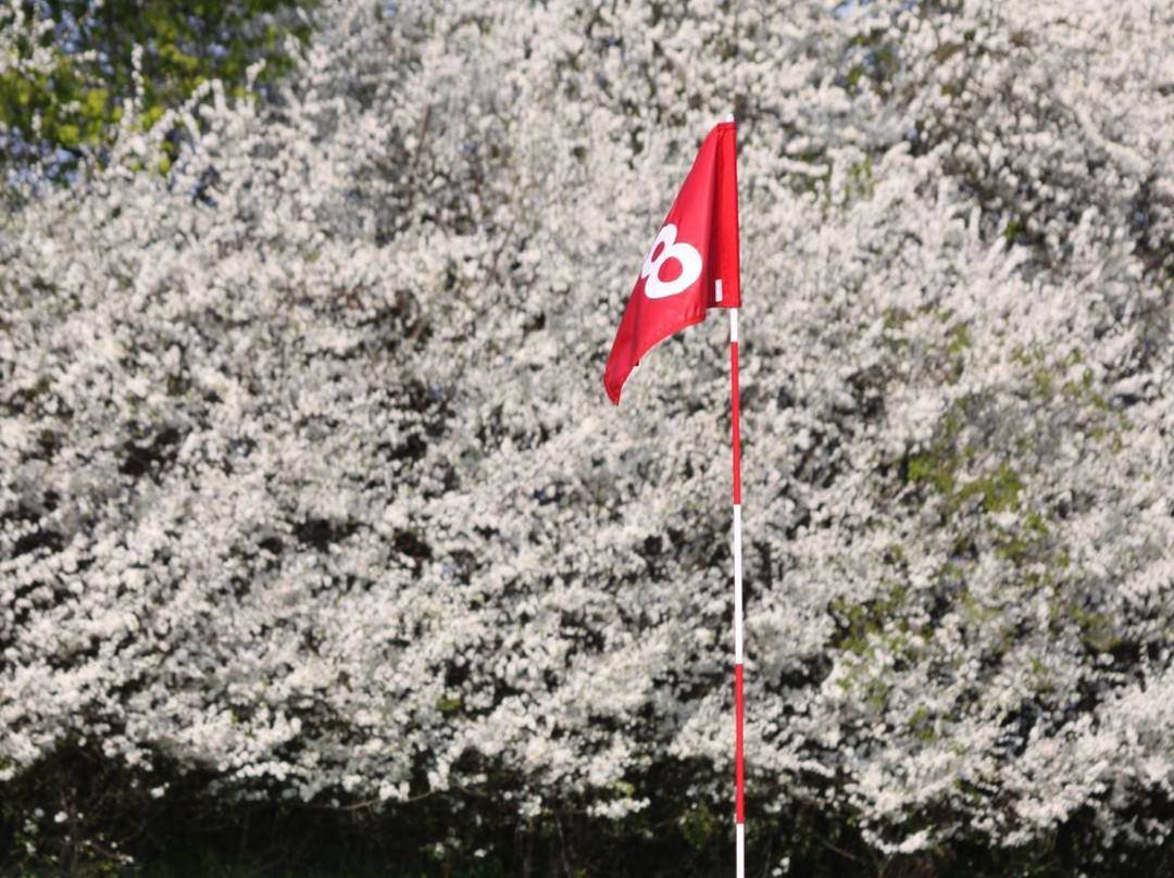 SwinGolf Ostsee景点图片