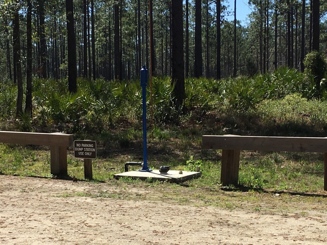 Cary State Forest景点图片