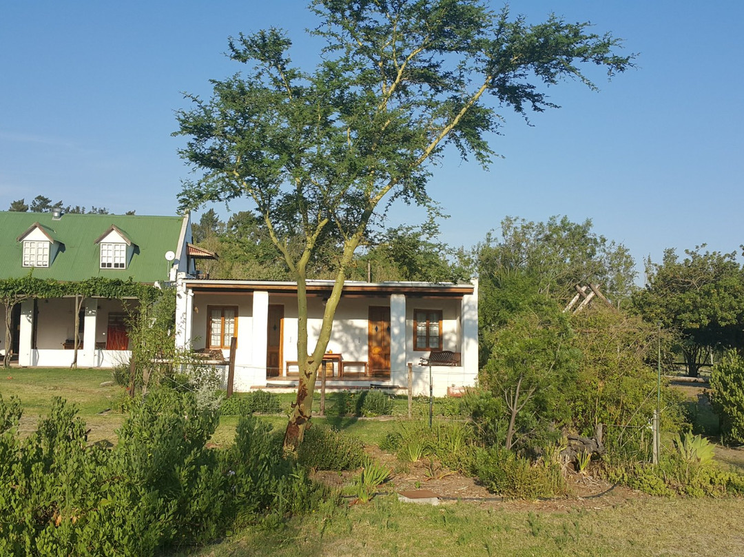 Klein Waterkloof B&B主图