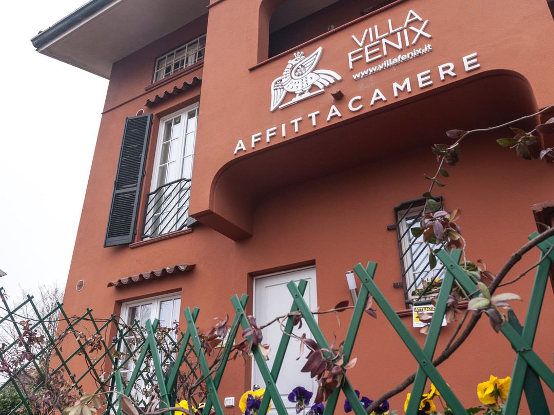 Villa Fenix主图