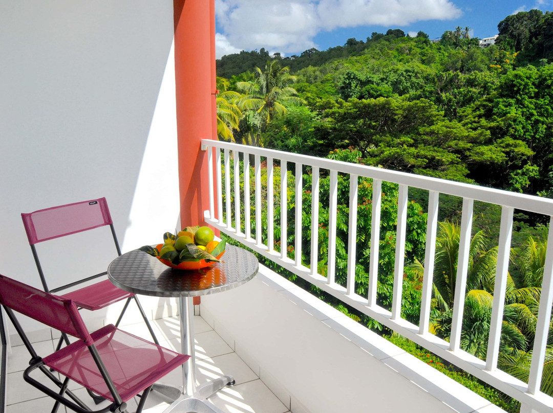 Schoelcher酒店住宿-Madiana Motel