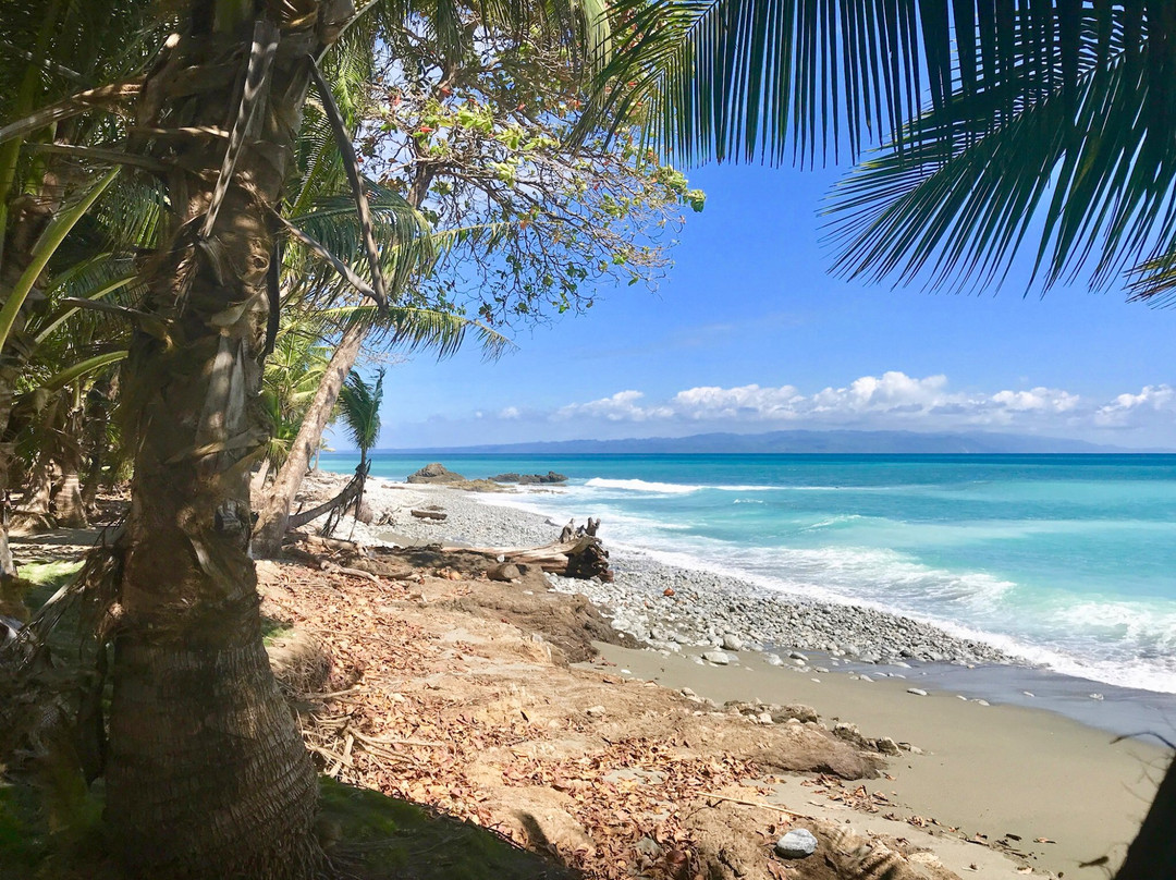 Playa Matapalo旅游攻略图片