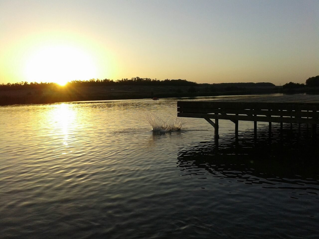 Malinki South Bird Park景点图片