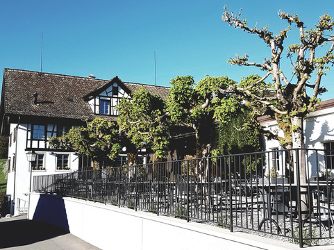 Gattikon餐馆和美食-Smolinsky's Sihlhalde