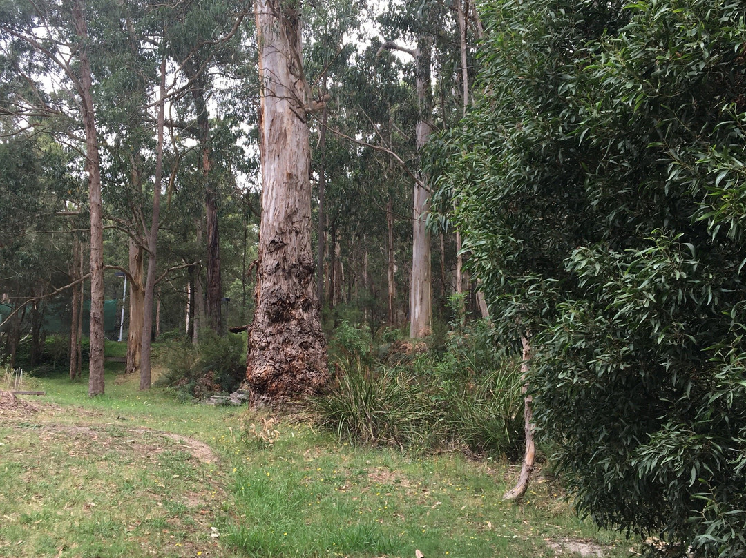 Minak Reserve-贝尔格雷夫必去景点