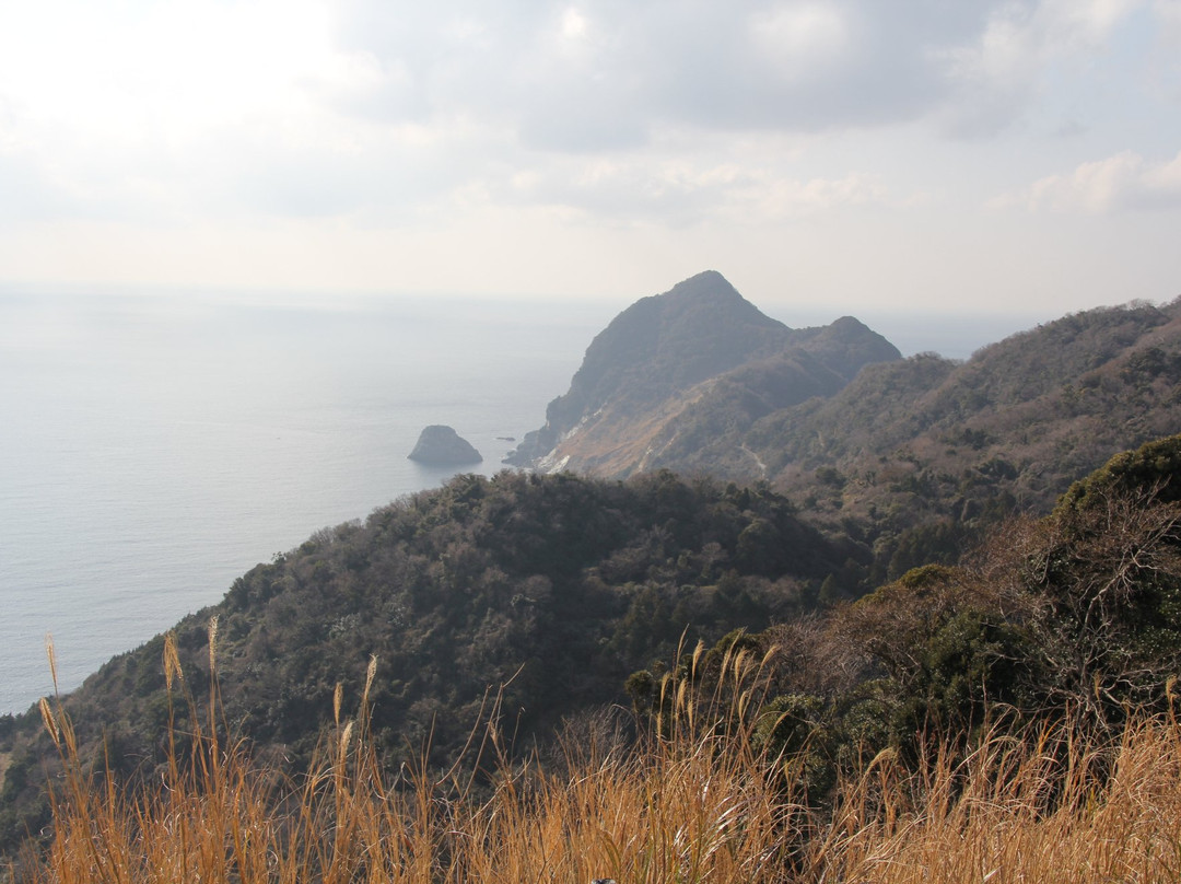 Yuhigaoka Tembo Hiroba景点图片