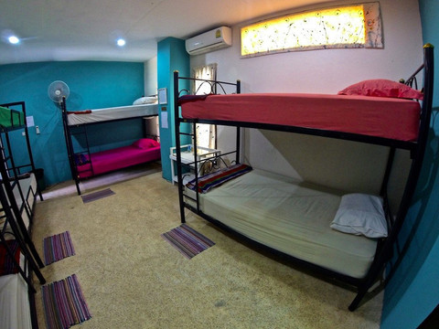 DJL Diving Koh Lipe-丽贝岛必去景点