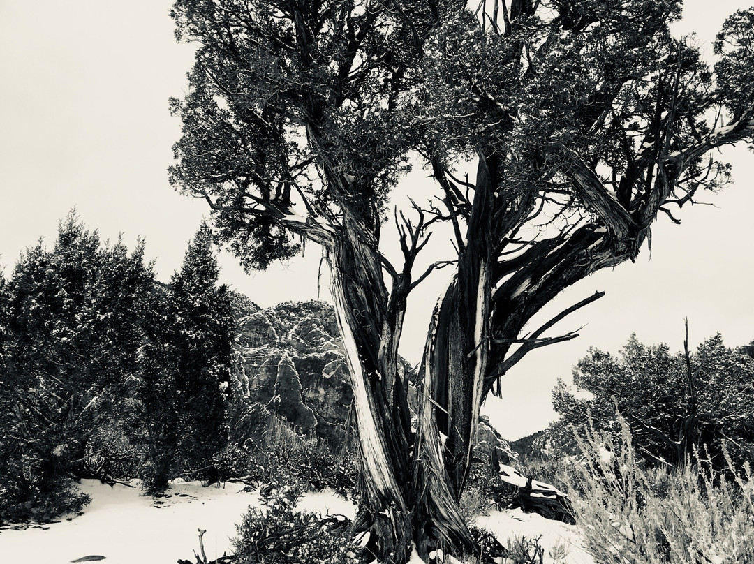 Rifle Arch Trail-Rifle必去景点