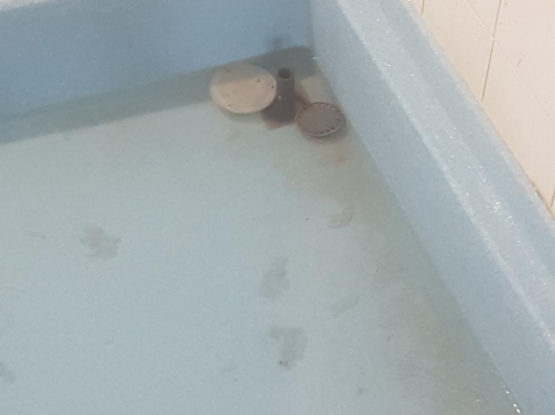 Thalacap  Ile De Ré主图