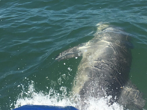 Stag Watersports-曼杜拉必去景点