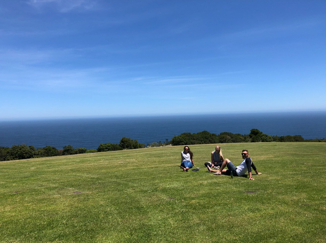 Misty Mountain Reserve主图