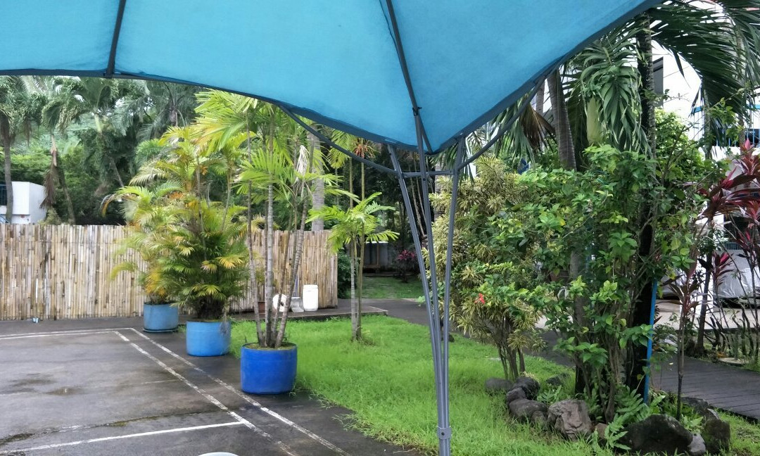 Palm Springs Resort and Hotel主图