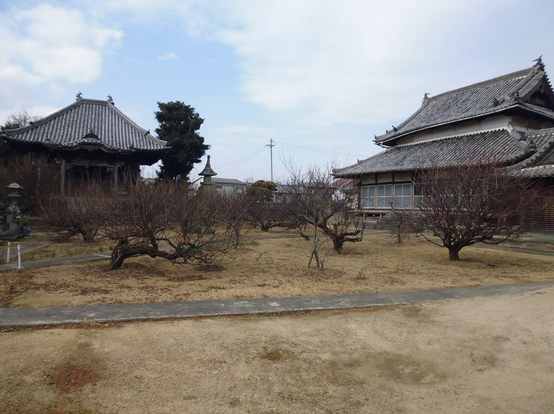 Senkoji Temple-蓝住町必去景点