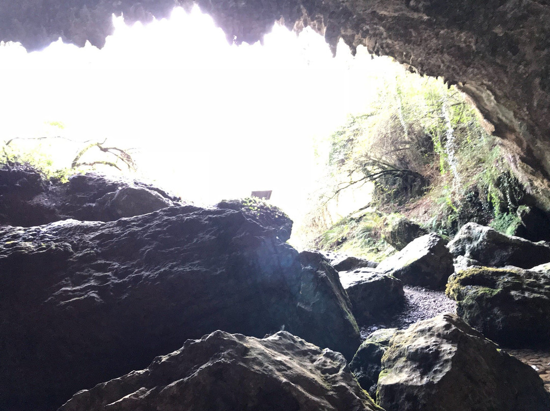 Parque Paleolitico de la Cueva del Valle景点图片
