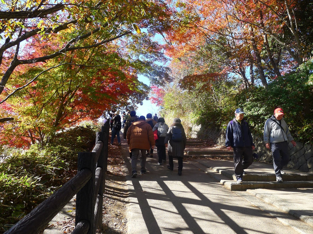 Mt. Takaosan Hiking Course-八王子市必去景点