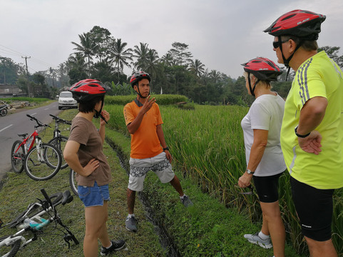Bali Rocky Mountain Cycling Tour-乌布必去景点