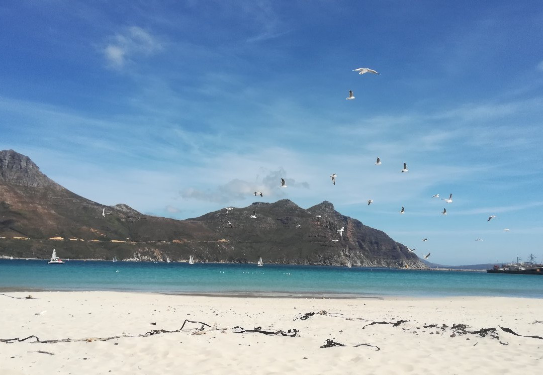Hout Bay Beach