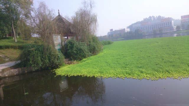 盛铂仕丹·天羿大酒店（岳池站店）-酒店景观