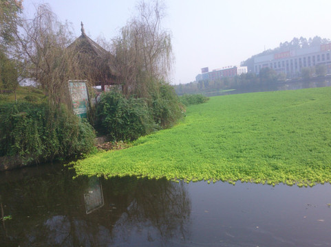 盛铂仕丹·天羿大酒店（岳池站店）主图