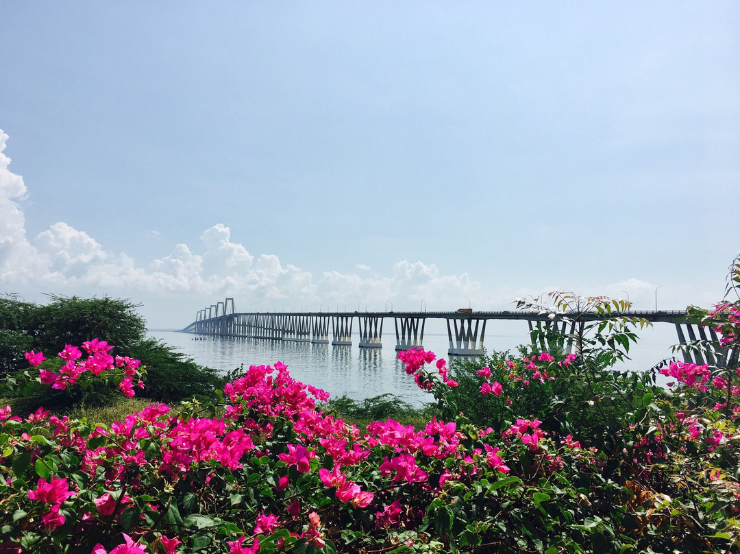 General Rafael Urdaneta Bridge-Maracaibo必去景点