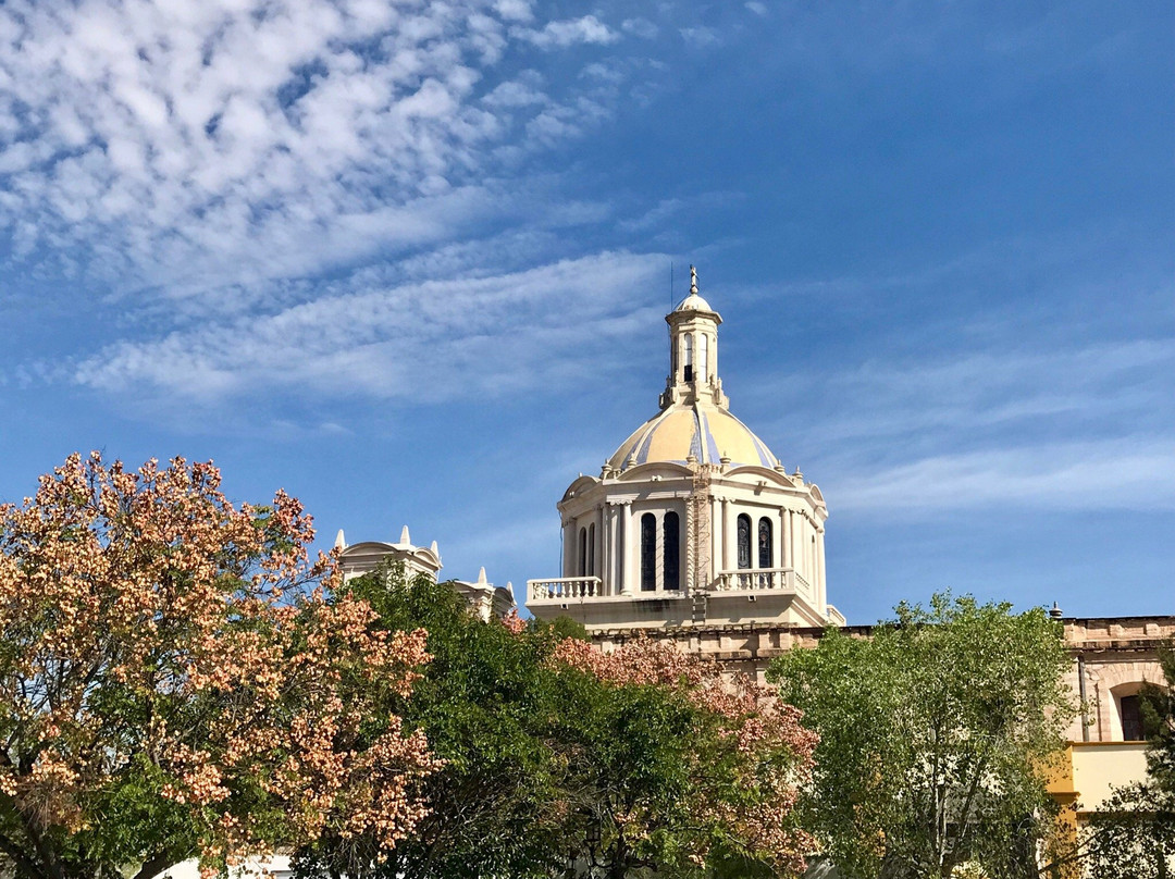 Iglesia San Juan Nepomuceno-萨尔蒂必去景点