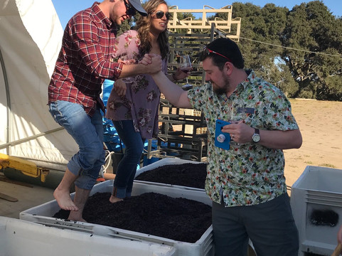 Dream Tours By-The-Sea-蒙特雷必去景点