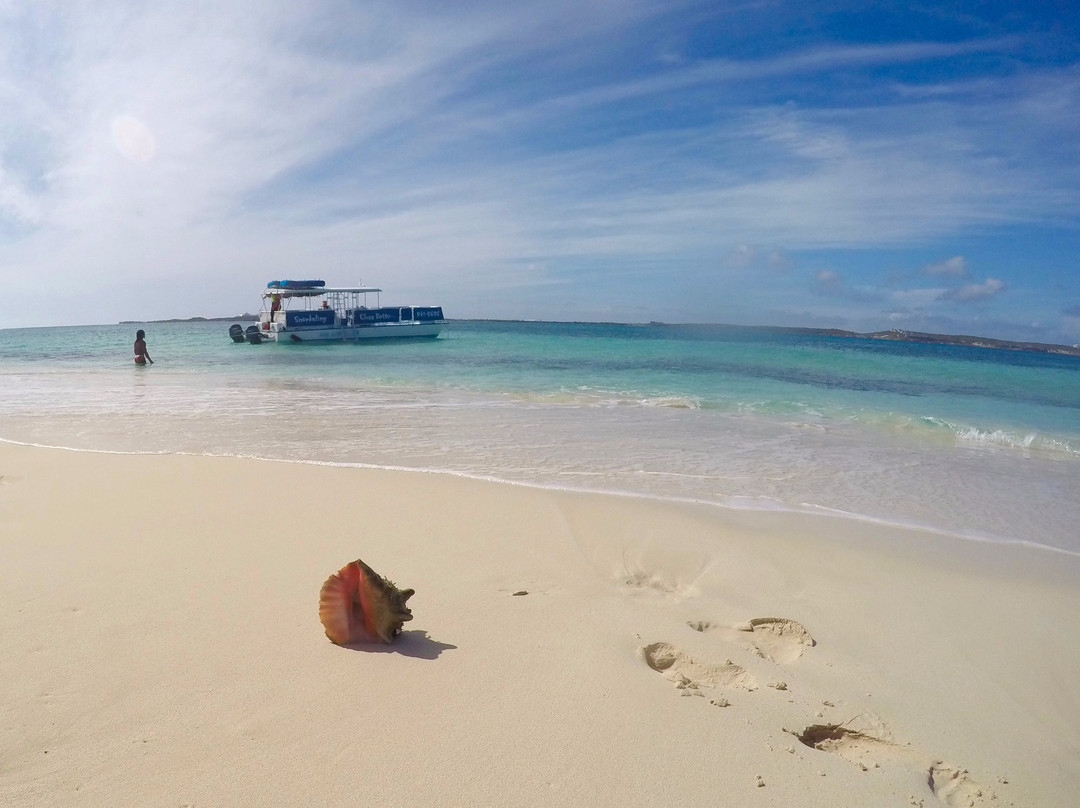 Ocean Vibes Scuba & Watersports-Grand Turk必去景点