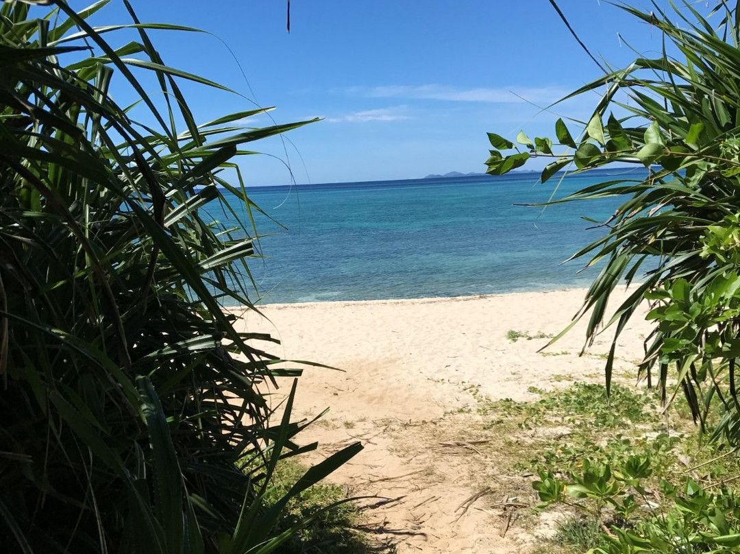 Shinse Beach景点图片