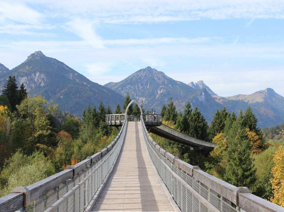 Baumkronenweg Ziegelwies景点图片