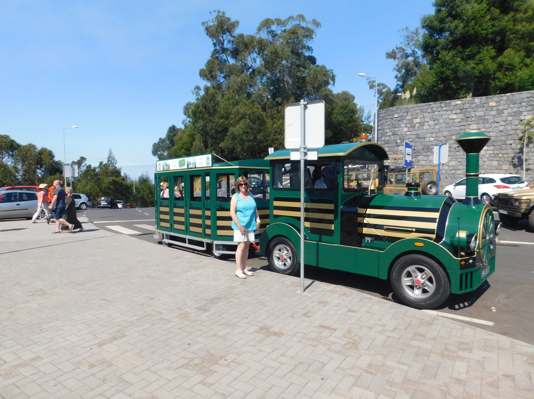 Madeira Green Train-Camara De Lobos必去景点