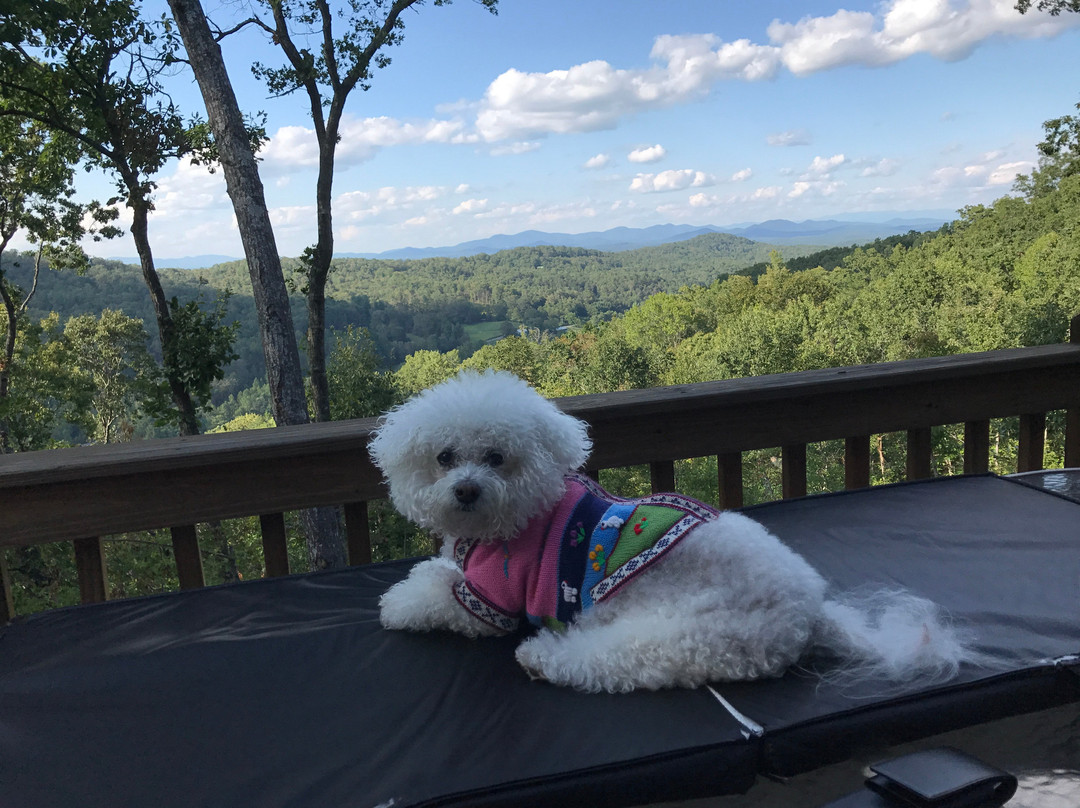 Cabin Rentals of Blue Ridge