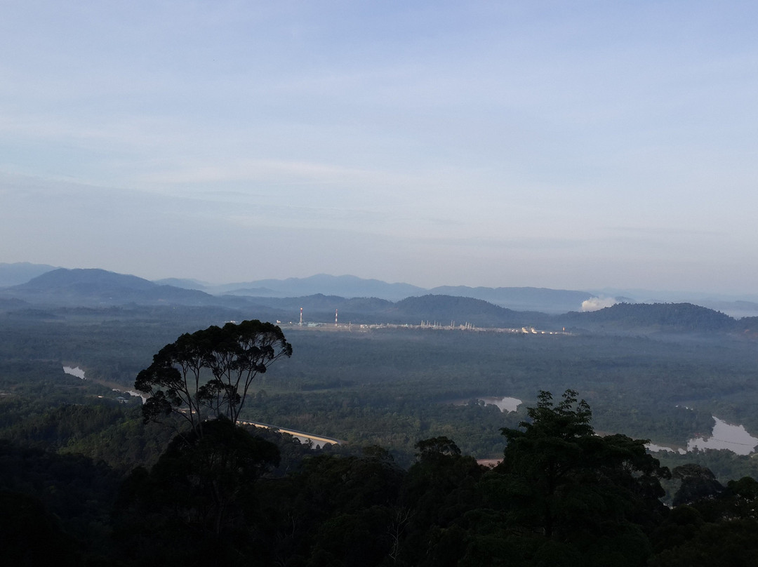 Rimba Bandar Bukit Bauk景点图片