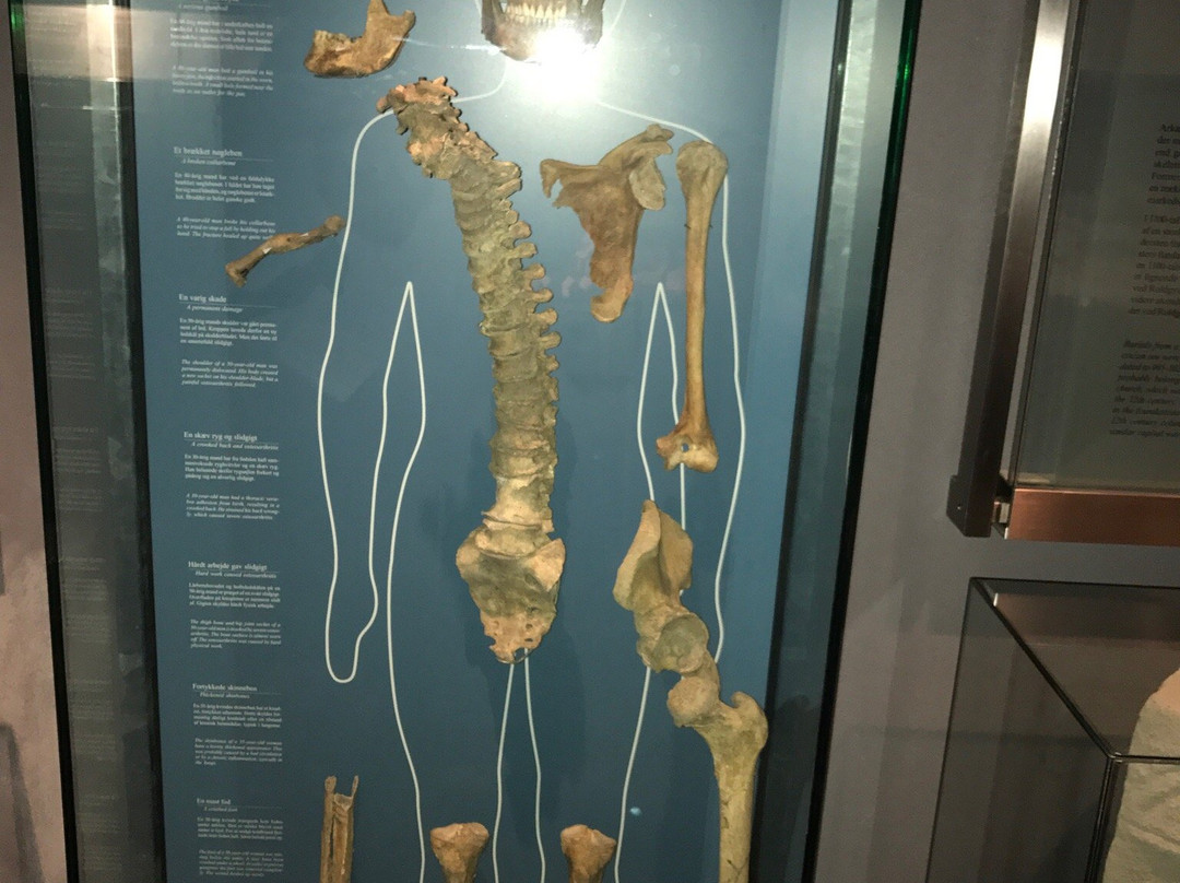 Graabrodrekloster Museet-奥尔堡必去景点