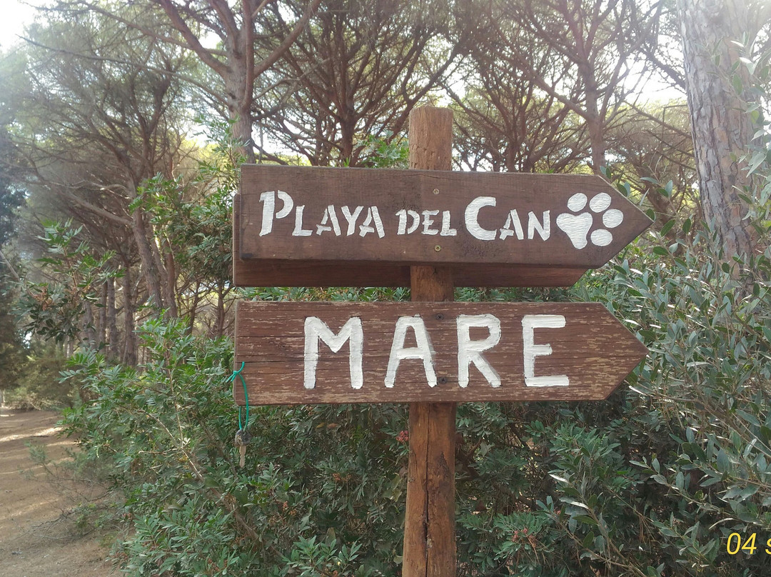 Playa del Can景点图片