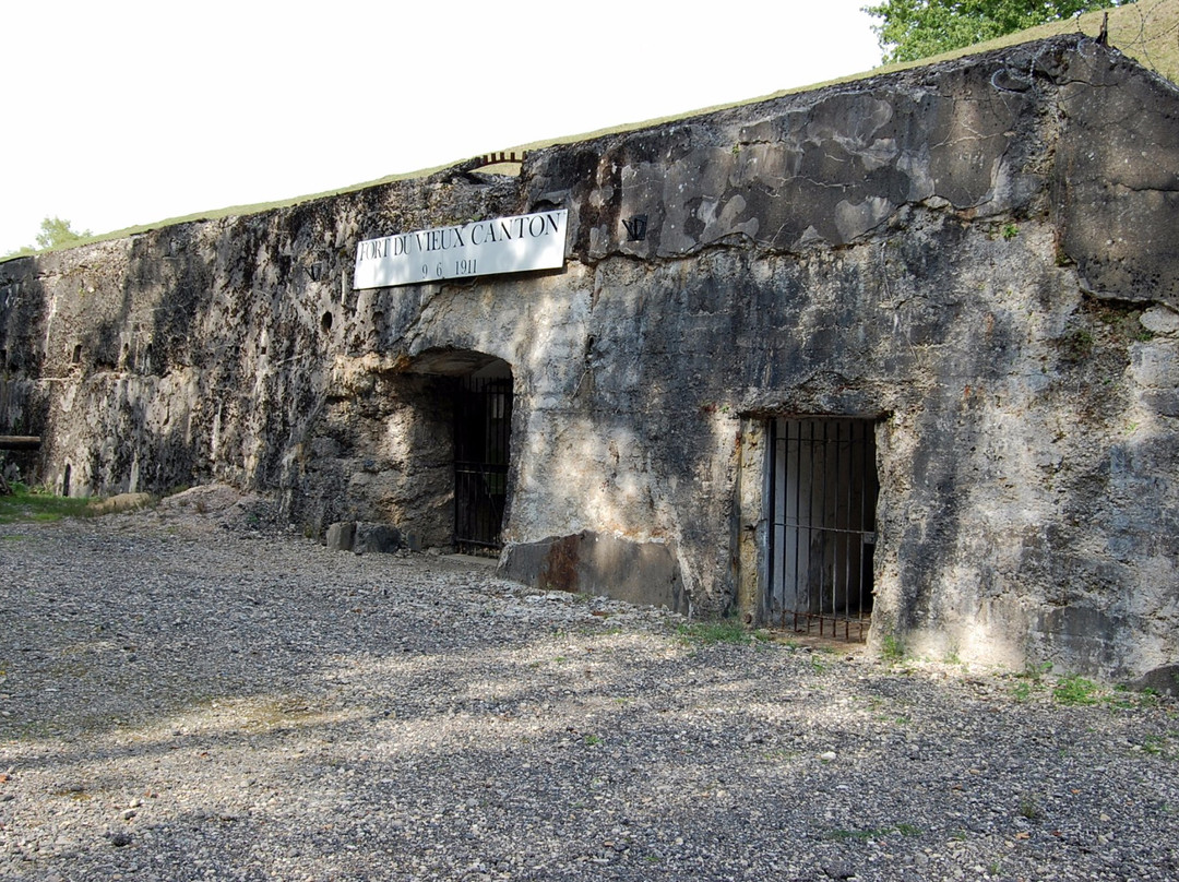 Fort du Vieux Canton-Villey-Saint-Etienne必去景点