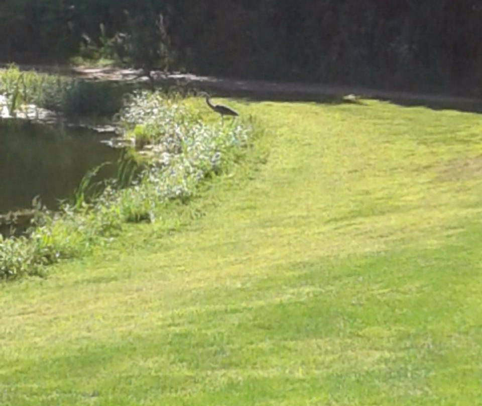 Mass Audubon Canoe Meadows Wildlife Sanctuary景点图片