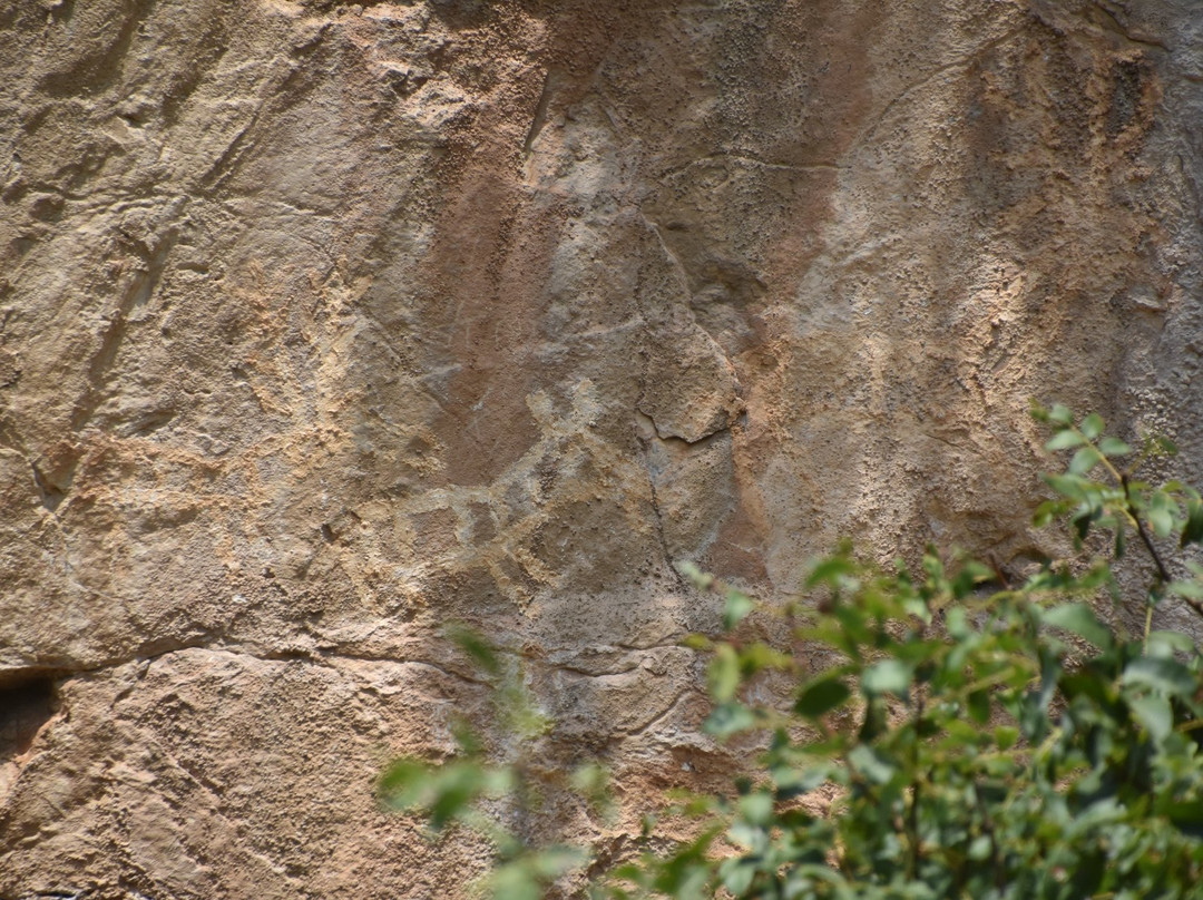 Lipci Rock-Kotor Municipality必去景点