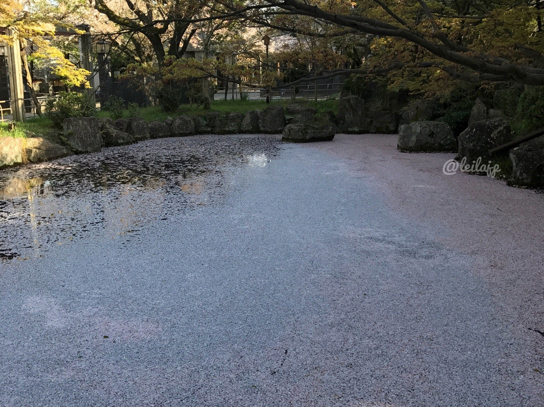 Statue of Big Raccoon Dog-高滨市必去景点