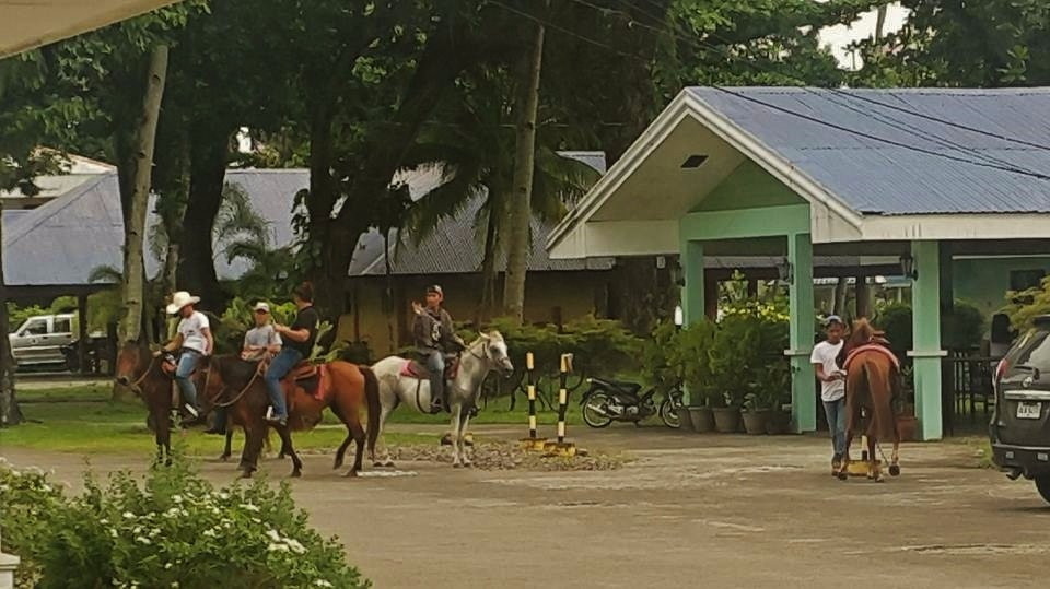 Visayas State University-Baybay必去景点