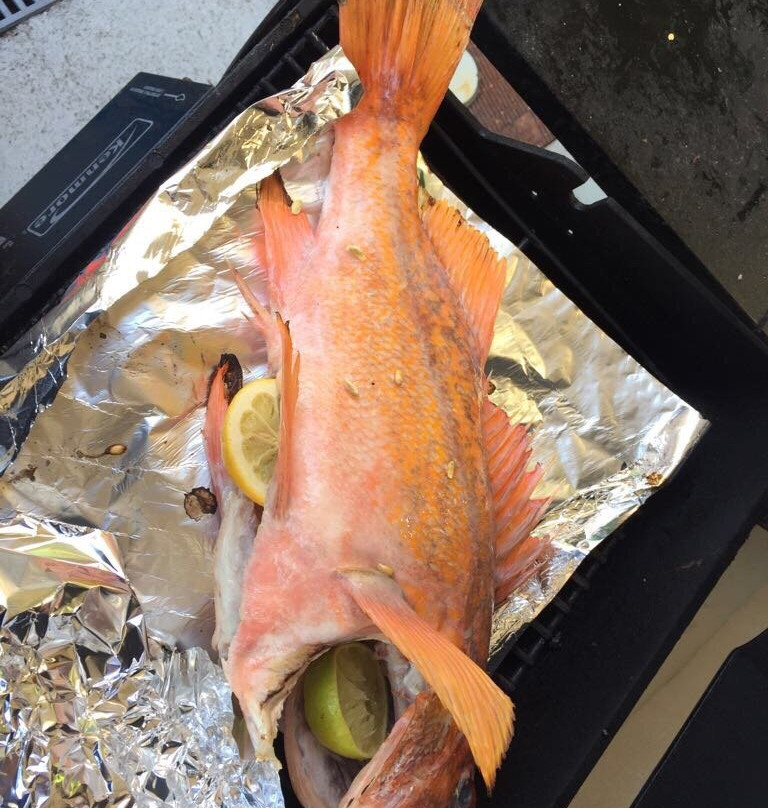 Sunshine Coast Kayaks-吉布森斯必去景点