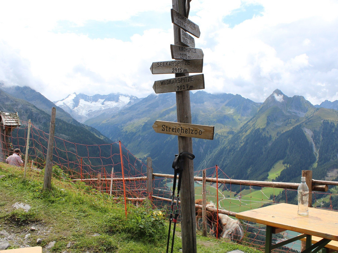 Gletscherblickalm Hochkrimml景点图片